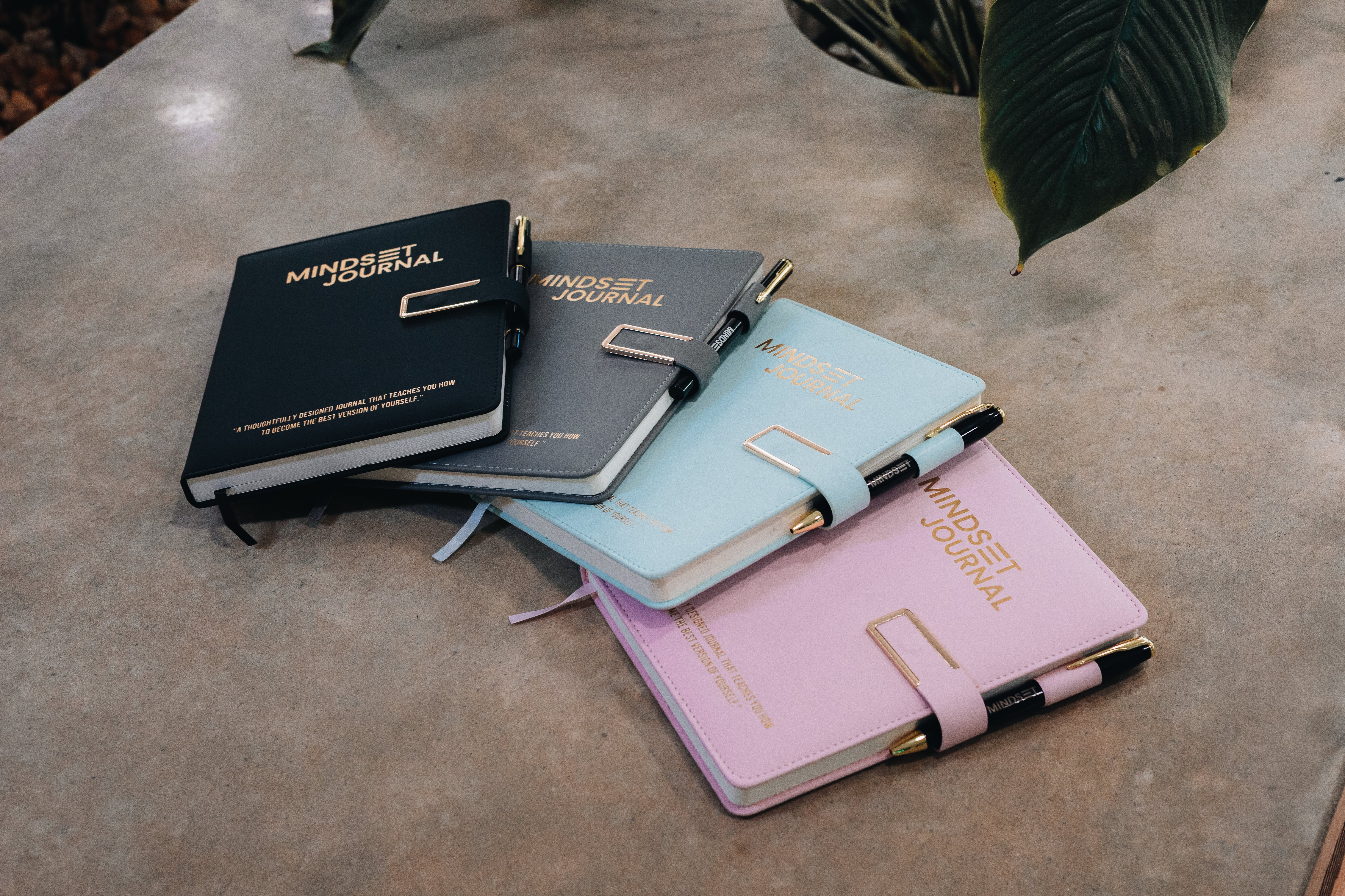 Why Our Journal Stands Out